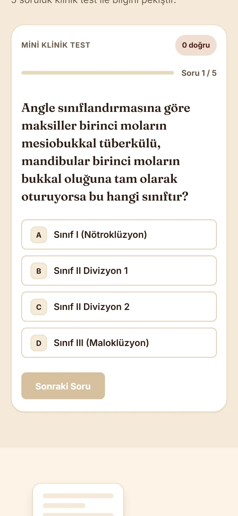 Dent Notes mobil test ekranı